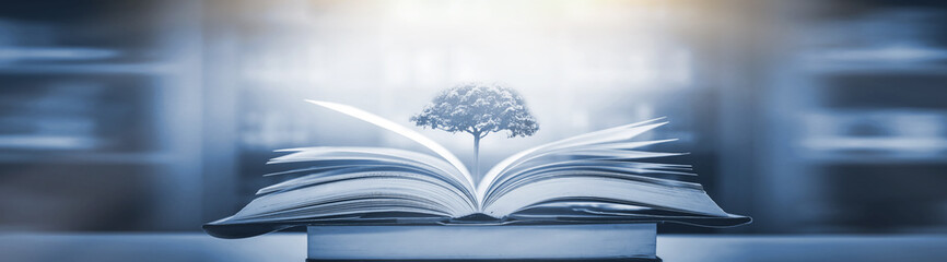 年满70的老人可以办理深圳居住证吗