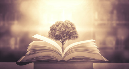 年满70的老人可以办理深圳居住证吗