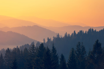 婚礼通知朋友圈怎么写