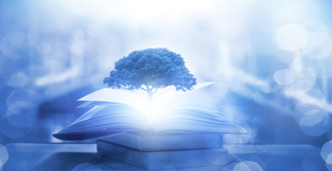 减肥晚餐吃什么食物好？