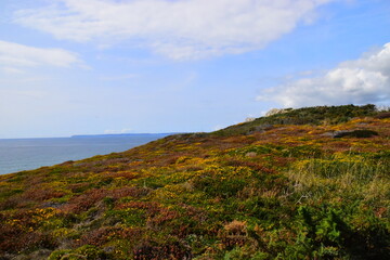 五菱之光离合器踩着重怎么办