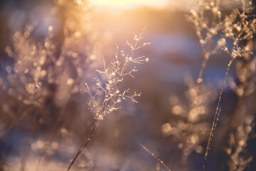 年满70的老人可以办理深圳居住证吗