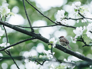 台州两日游哪里好台州一日游哪里好