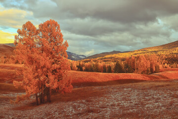 怎样炸好油炸糕不裂口子