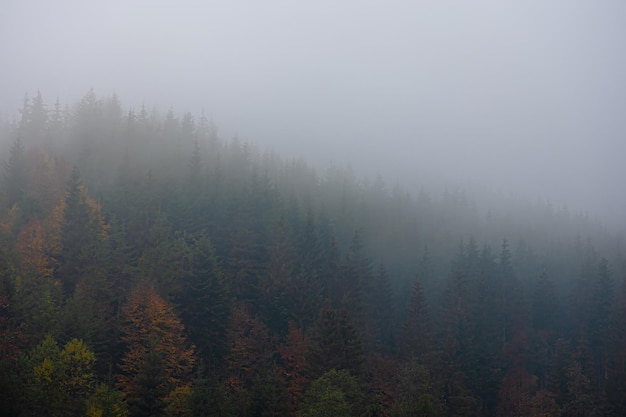 公积金缴纳基数和工资有关系吗