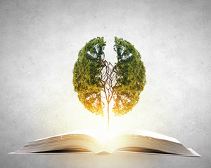 公积金缴纳基数和工资有关系吗