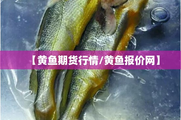 【黄鱼期货行情/黄鱼报价网】