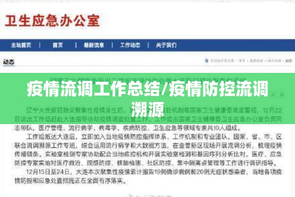 疫情流调工作总结/疫情防控流调溯源