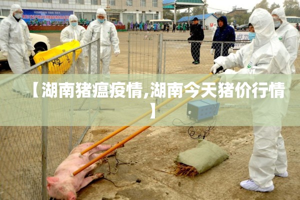 【湖南猪瘟疫情,湖南今天猪价行情】