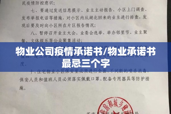 物业公司疫情承诺书/物业承诺书最忌三个字