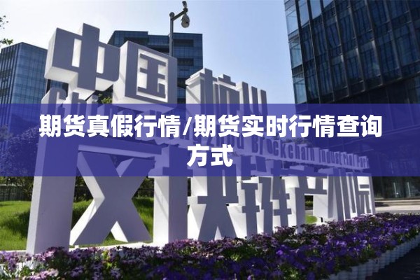 期货真假行情/期货实时行情查询方式