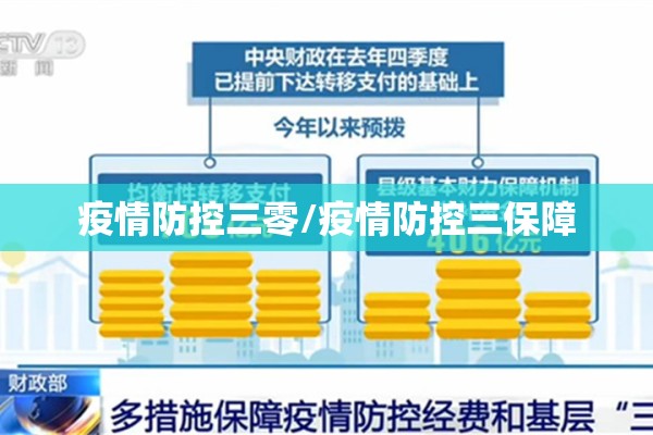 疫情防控三零/疫情防控三保障