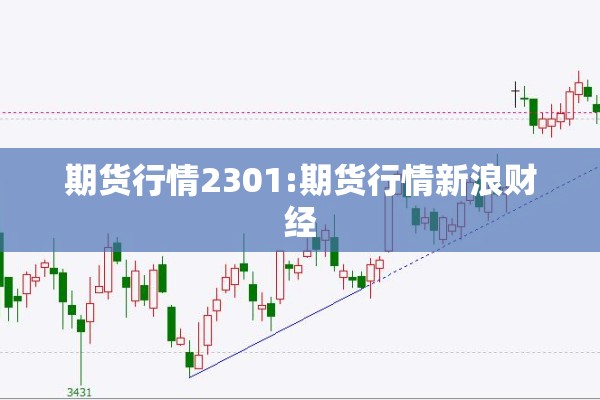 期货行情2301:期货行情新浪财经