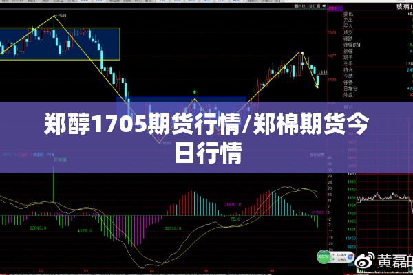 郑醇1705期货行情/郑棉期货今日行情