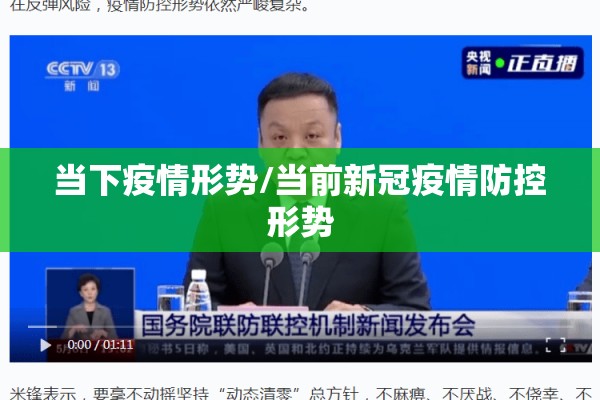 当下疫情形势/当前新冠疫情防控形势 当下疫情形势/当前新冠疫情防控形势