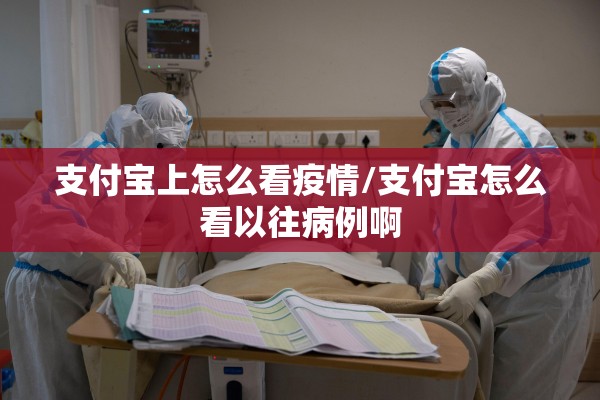 支付宝上怎么看疫情/支付宝怎么看以往病例啊 支付宝上怎么看疫情/支付宝怎么看以往病例啊