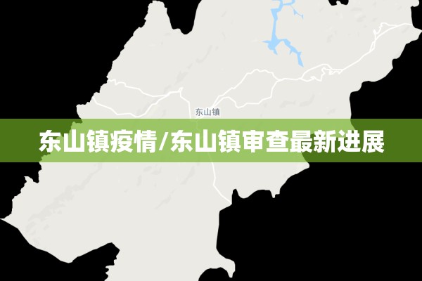 东山镇疫情/东山镇审查最新进展