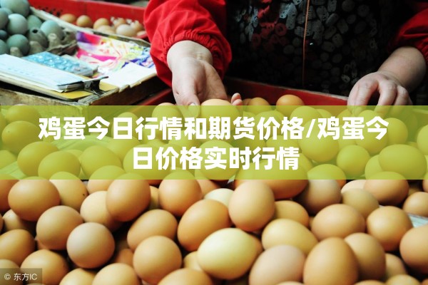 鸡蛋今日行情和期货价格/鸡蛋今日价格实时行情 鸡蛋今日行情和期货价格/鸡蛋今日价格实时行情