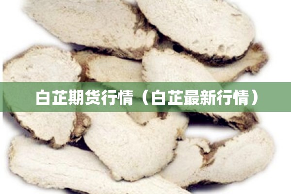 白芷期货行情（白芷最新行情）