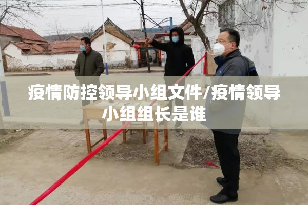 疫情防控领导小组文件/疫情领导小组组长是谁