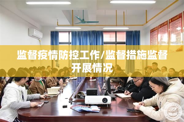 监督疫情防控工作/监督措施监督开展情况 监督疫情防控工作/监督措施监督开展情况