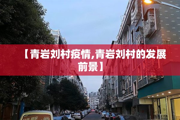 【青岩刘村疫情,青岩刘村的发展前景】