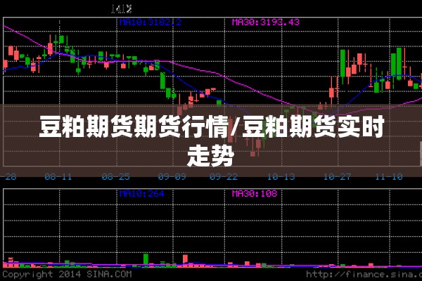 豆粕期货期货行情/豆粕期货实时走势