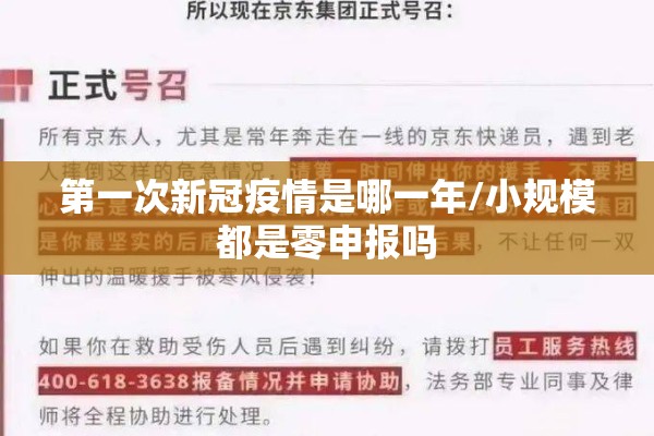 第一次新冠疫情是哪一年/小规模都是零申报吗 第一次新冠疫情是哪一年/小规模都是零申报吗
