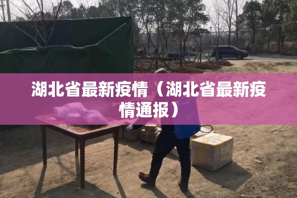 湖北省最新疫情（湖北省最新疫情通报）