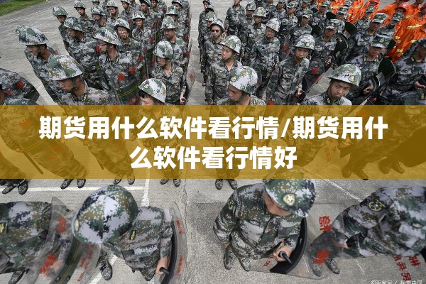 期货用什么软件看行情/期货用什么软件看行情好 期货用什么软件看行情/期货用什么软件看行情好