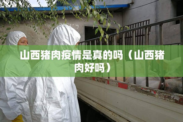 山西猪肉疫情是真的吗（山西猪肉好吗）