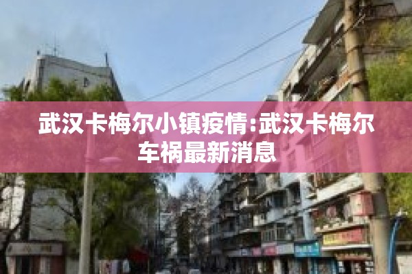 武汉卡梅尔小镇疫情:武汉卡梅尔车祸最新消息