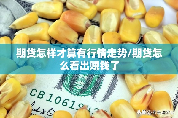 期货怎样才算有行情走势/期货怎么看出赚钱了