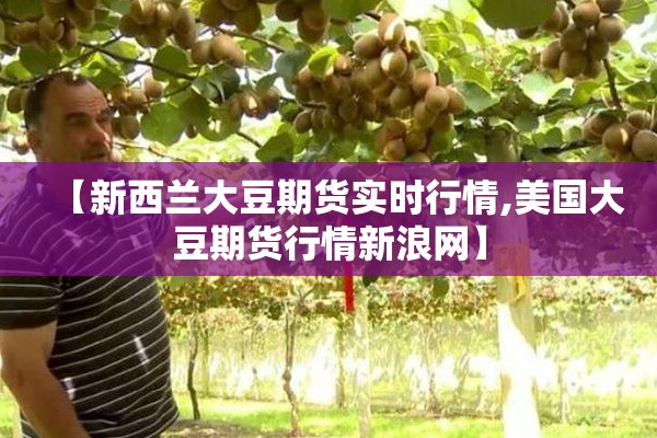 【新西兰大豆期货实时行情,美国大豆期货行情新浪网】