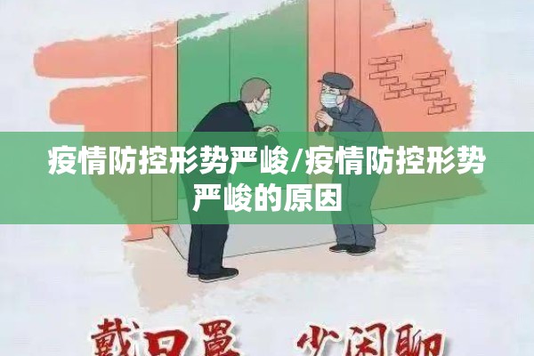 疫情防控形势严峻/疫情防控形势严峻的原因
