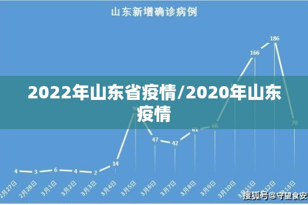 2022年山东省疫情/2020年山东疫情