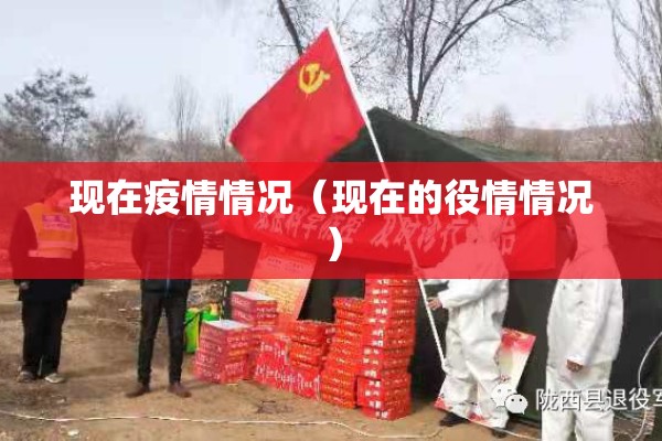 现在疫情情况（现在的役情情况）