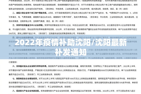 2022年疫情补助沈阳/沈阳最新补发通知