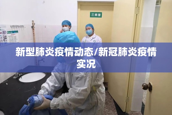 新型肺炎疫情动态/新冠肺炎疫情实况 新型肺炎疫情动态/新冠肺炎疫情实况
