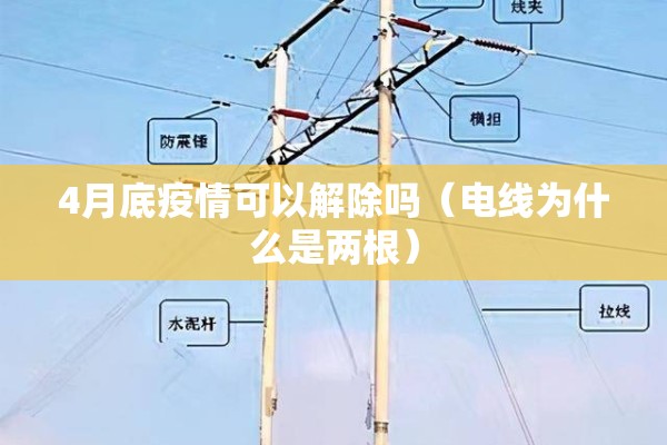 4月底疫情可以解除吗（电线为什么是两根）