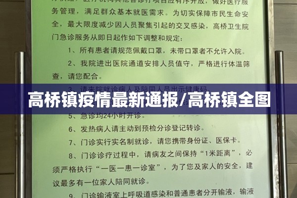 高桥镇疫情最新通报/高桥镇全图