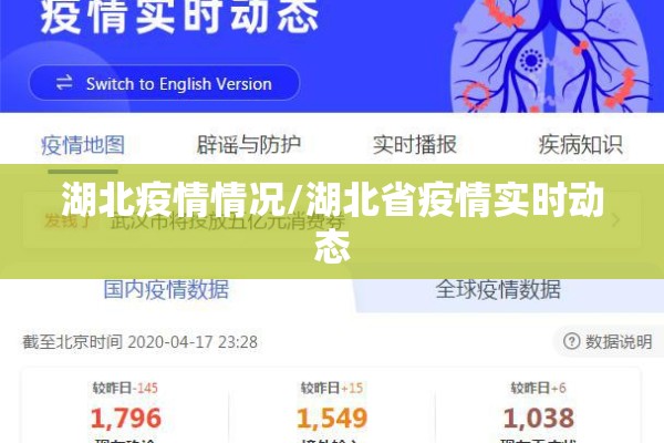 湖北疫情情况/湖北省疫情实时动态