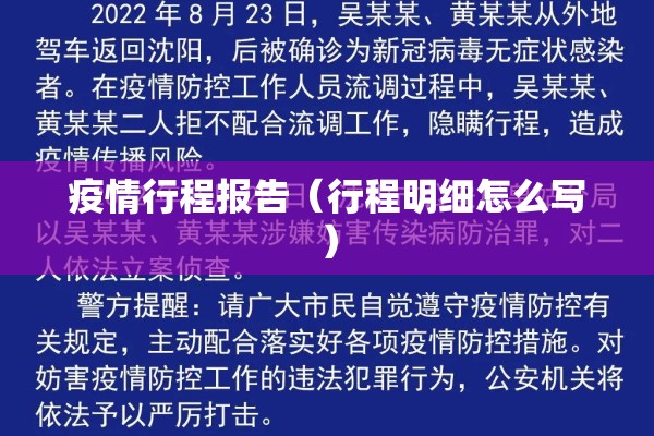 疫情行程报告（行程明细怎么写）