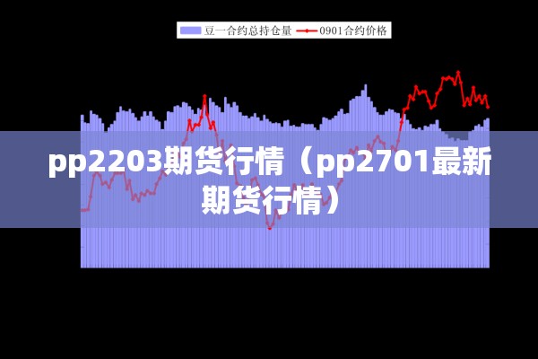 pp2203期货行情（pp2701最新期货行情）