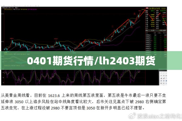 0401期货行情/lh2403期货 0401期货行情/lh2403期货