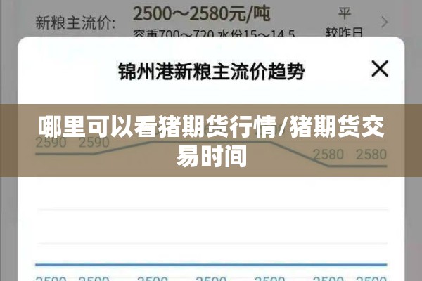 哪里可以看猪期货行情/猪期货交易时间