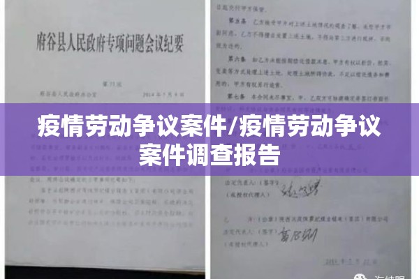 疫情劳动争议案件/疫情劳动争议案件调查报告