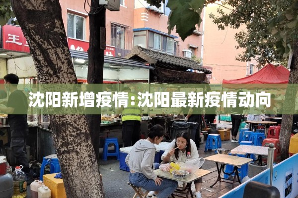 沈阳新增疫情:沈阳最新疫情动向