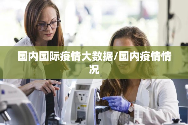 国内国际疫情大数据/国内疫情情况