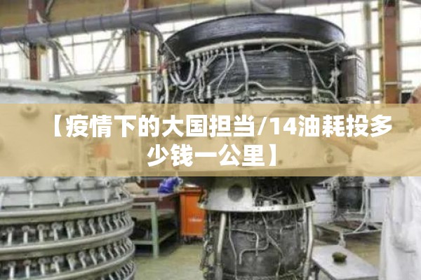 【疫情下的大国担当/14油耗投多少钱一公里】